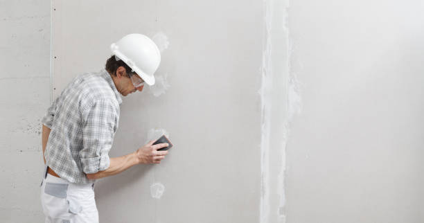 Best Emergency Mold Remediation  in North Lindenhurst, NY