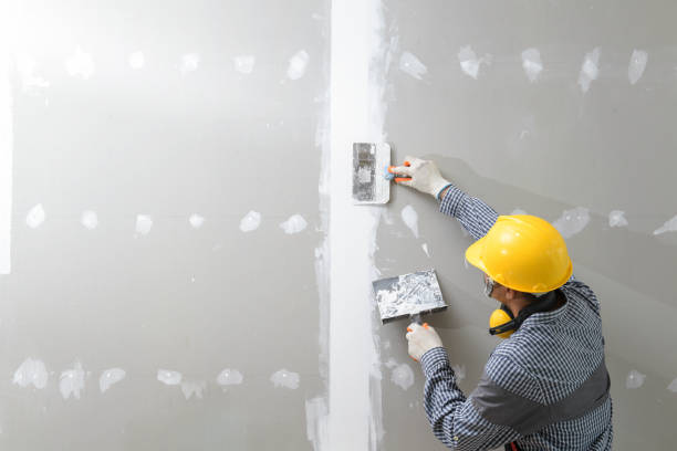 Best Residential Mold Inspection & Testing  in North Lindenhurst, NY