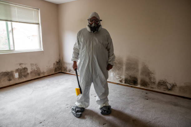 Best Post-Construction Mold Inspection  in North Lindenhurst, NY